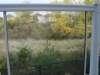 Photo Number 5