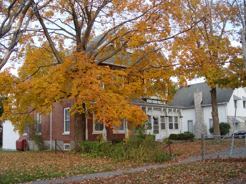 Photograph