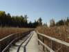Photo Number 9